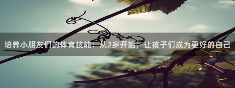 vsport体育在线官网