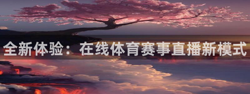 vsport体育在线官网