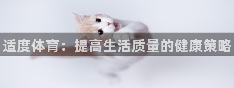 vsport体育在线官网