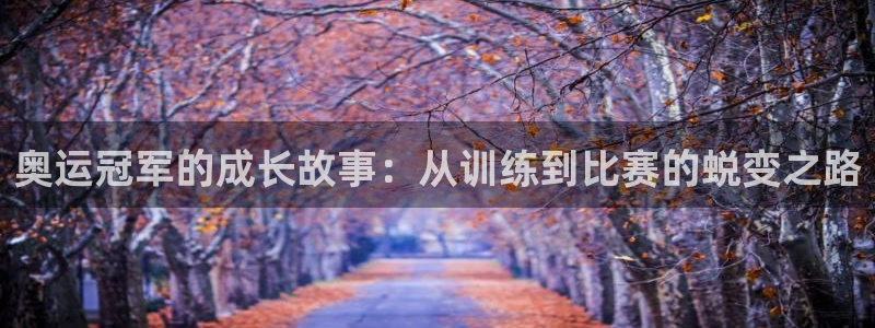 vsport体育在线官网