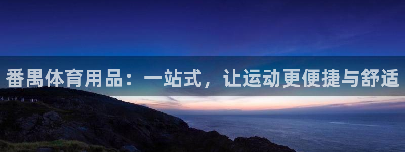 vsport体育在线官网