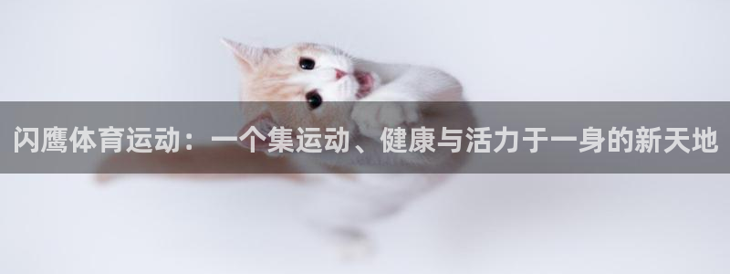 vsport体育在线官网