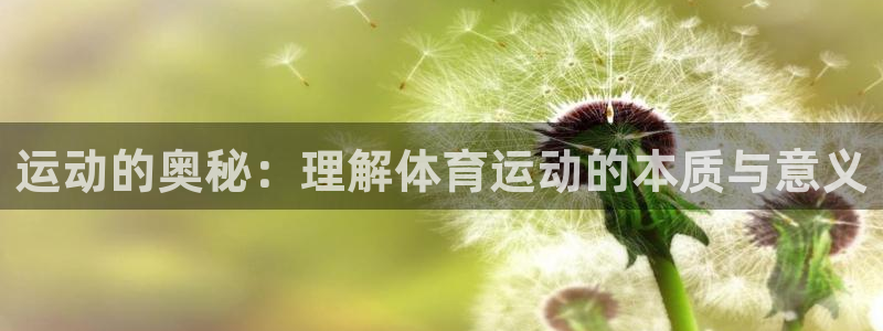 vsport体育在线官网