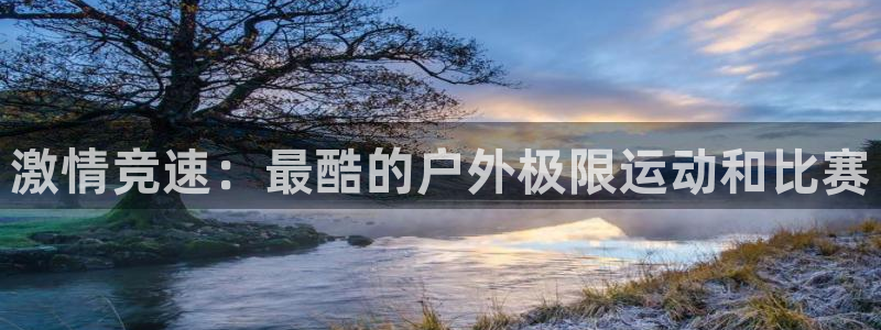 vsport体育在线官网