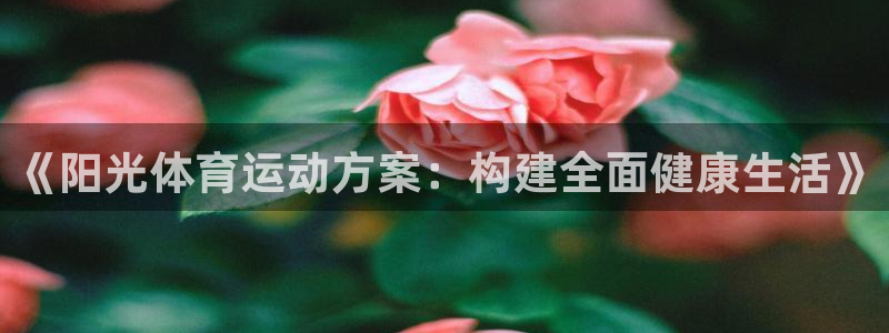vsport体育
