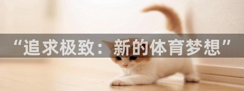 vsport体育在线官网