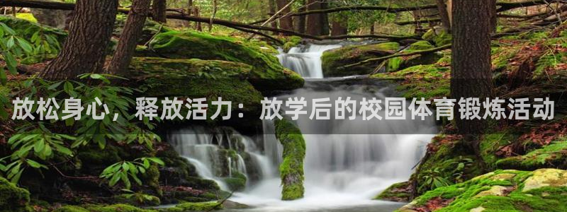 vsport体育在线官网