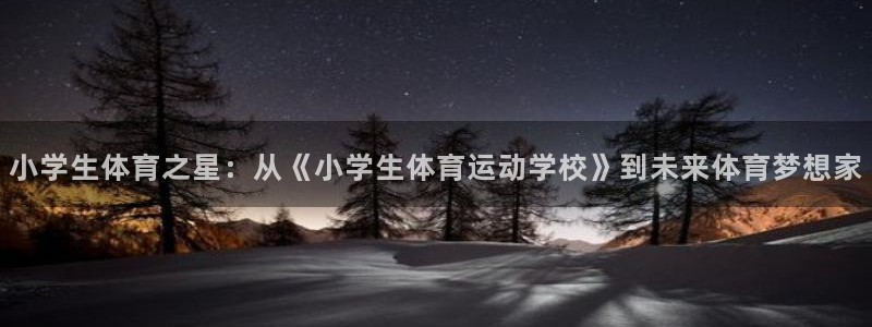 vsport体育在线官网