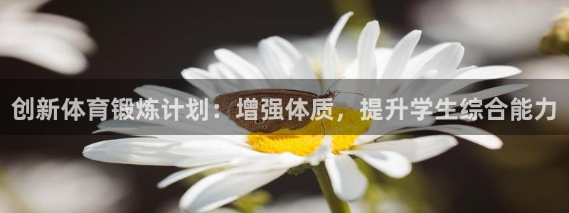 vsport体育在线官网