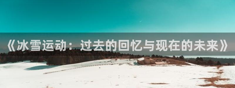 vsport体育